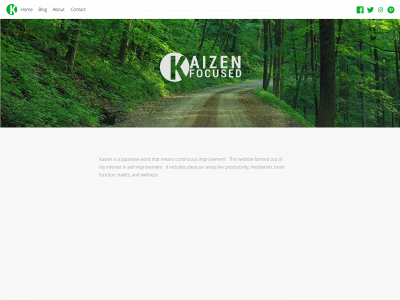 kaizenfocused.com snapshot