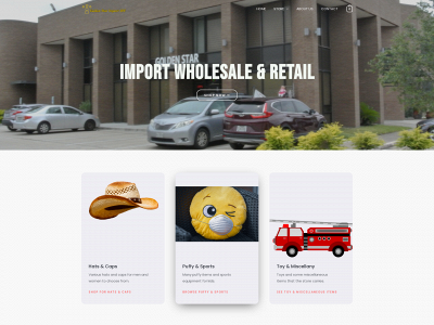 goldenstarhouston.com snapshot