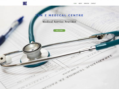 tenzmc.com snapshot