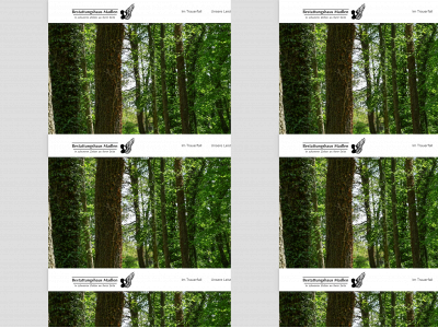 bsh-madlen.de snapshot