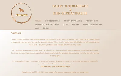 chicetzen.ch snapshot