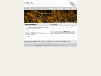 mindyou.dk snapshot