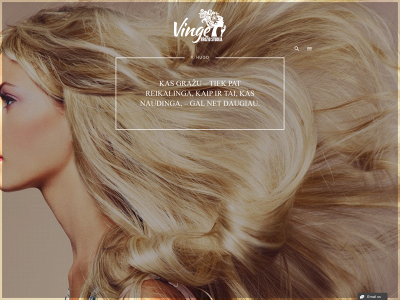 vinge.lt snapshot