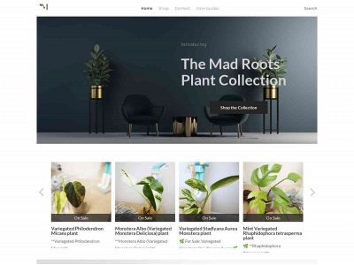 madrootsshop.weebly.com snapshot