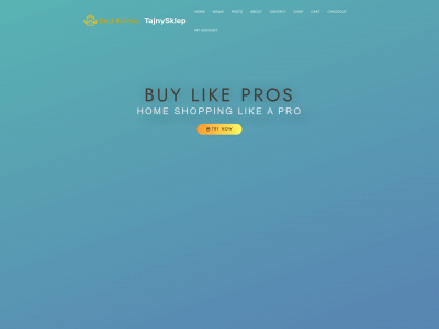 buylikepros.com snapshot