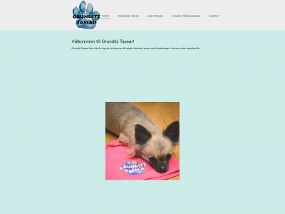 grunditztassar.se snapshot