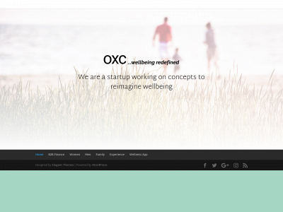 thedividegroup.com snapshot