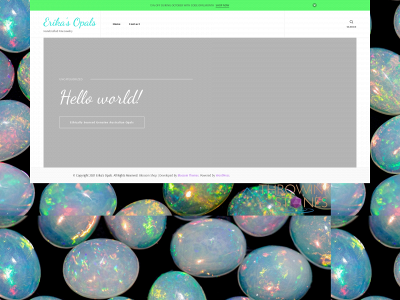 erikasopals.com snapshot