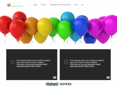 www.childrens-magician-sydney.com snapshot