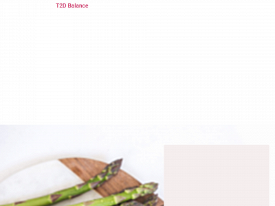 t2dbalance.dk snapshot