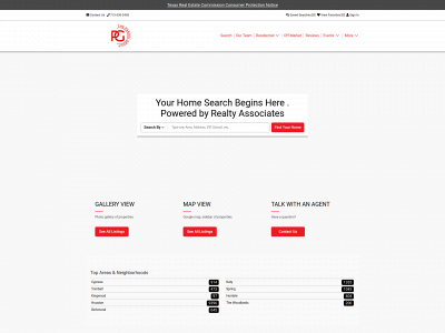 theparodigroup.com snapshot