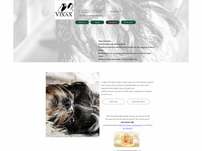 vixax.com snapshot
