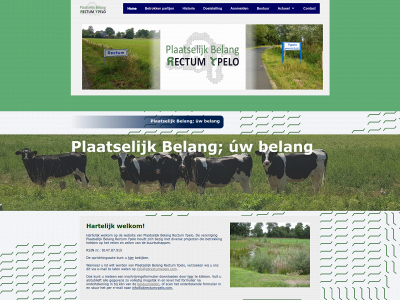 pbrectumypelo.com snapshot
