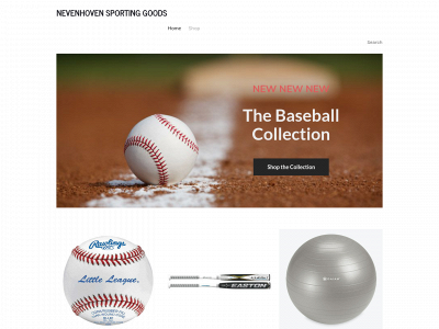 shopnsg.weebly.com snapshot