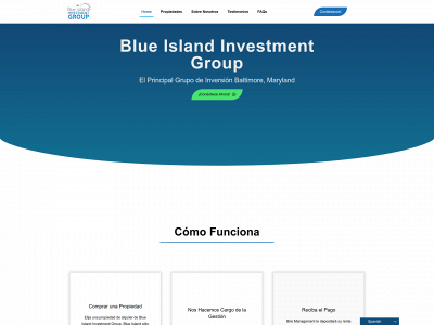 blueislandinvestmentgroup.com snapshot