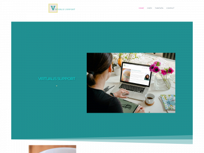 virtualis.support snapshot