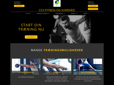 www.ccs.dk snapshot