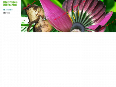 chophienmiennui.weebly.com snapshot