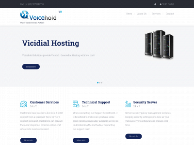 www.voicehold.net snapshot