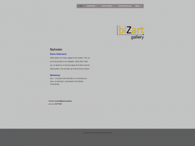 bizart.gallery snapshot