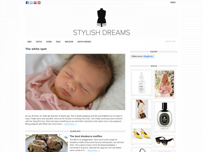 stylishdreams.com snapshot