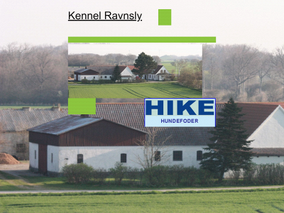 ravnsly.dk snapshot