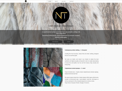 nancytrading.info snapshot