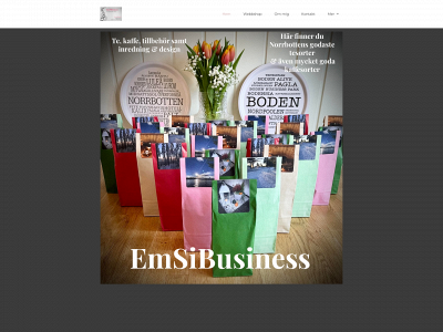 emsibusiness.com snapshot