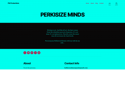 perkisizeminds.com snapshot