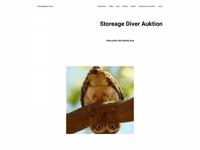 storeagediver.com snapshot