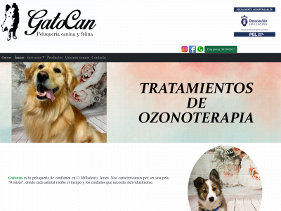 gatocanonline.es snapshot
