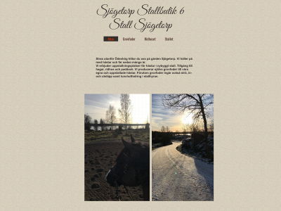 sjogetorpstallbutik.se snapshot