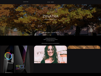 ziinatra.com snapshot