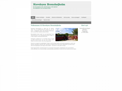 broenshoejholm.dk snapshot