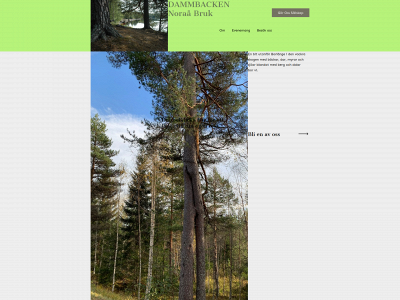 sebor.se snapshot