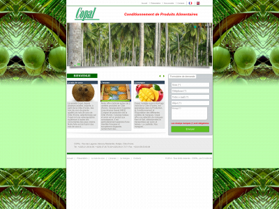 www.copal.ci snapshot