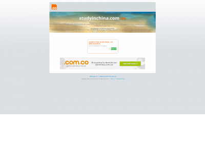 studyinchina.com.co snapshot