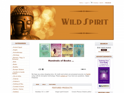 wildspiritstore.com snapshot