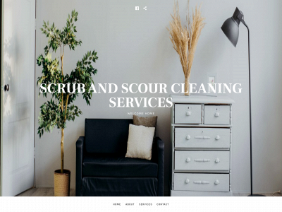 scrubandscour.com snapshot