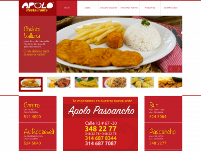 www.apolorestaurantes.com snapshot