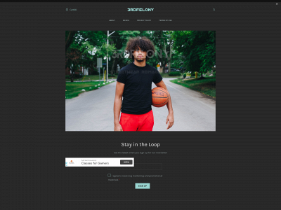 www.3rdfelony.com snapshot
