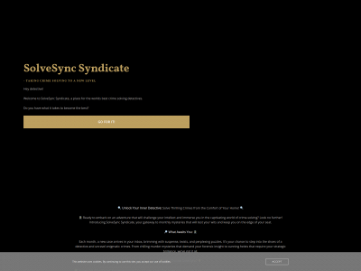 solvesync.com snapshot