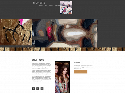 monettetwins.com snapshot