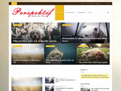 perspektif.se snapshot
