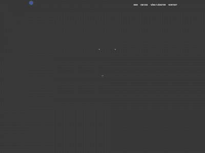 infodringsteknik.se snapshot