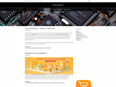 tamsoje.lt snapshot