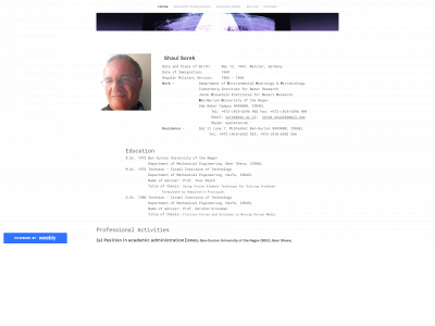 shaulsorek.weebly.com snapshot