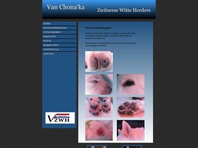 vanchonaka.nl snapshot