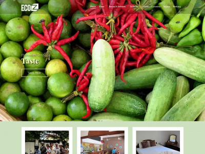 eco-z-guesthouse.com snapshot