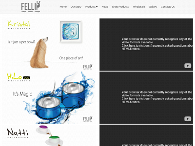 fellipet.com snapshot